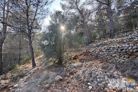Helårsgrund i Jalon, Alicante, Jalon - € 210.000 | Ref: P-601 - foto 7